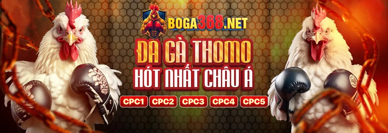 Lựa chọn nền tảng cá cược an toàn như 678hi